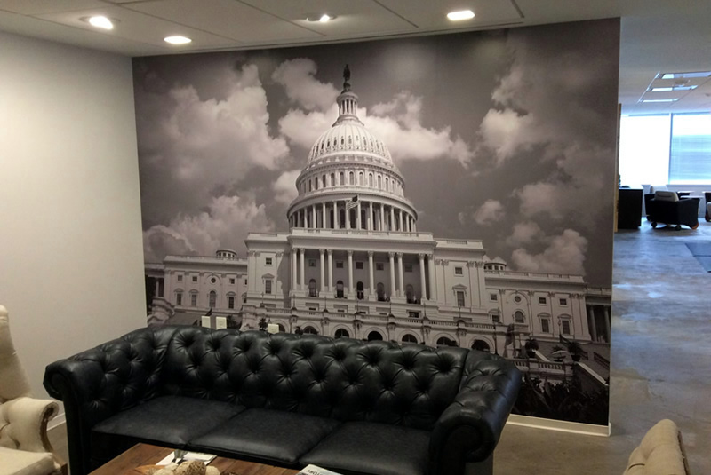 Wall Murals DC